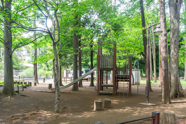 宇都宮記念公園-2205067