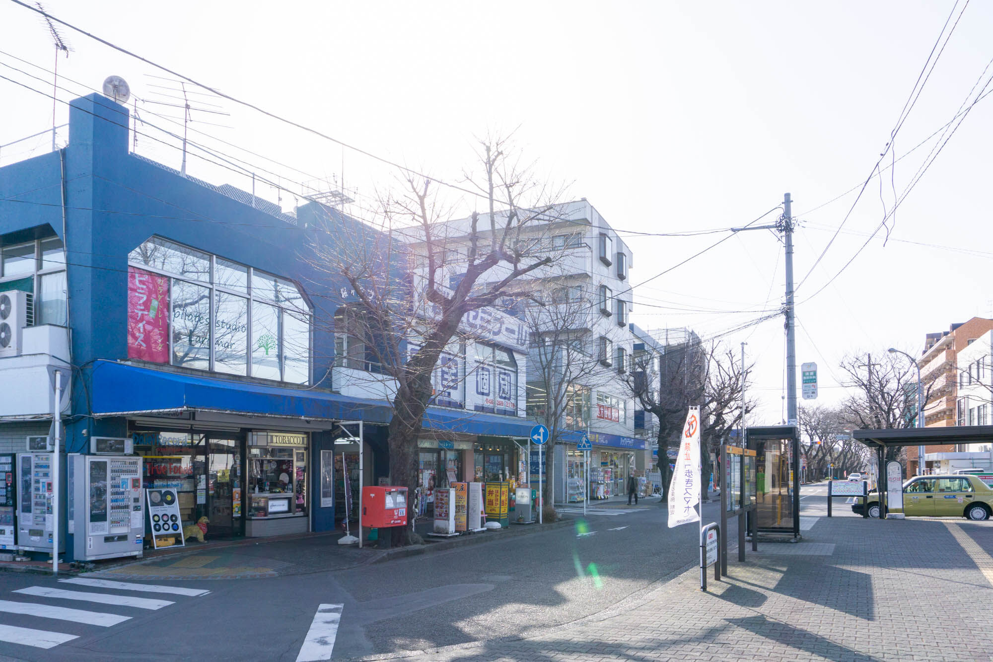 春にその本領を発揮 桜ヶ丘駅 編 大和市の各駅を巡る旅 大和とぴっく やまとぴ