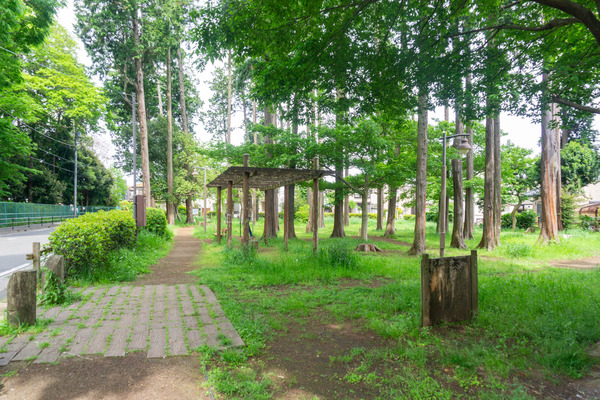 宇都宮記念公園-22050617