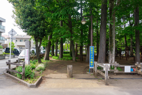 宇都宮記念公園-2205062