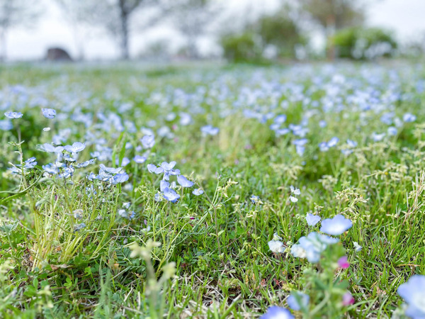 名称未設定-2304141-3