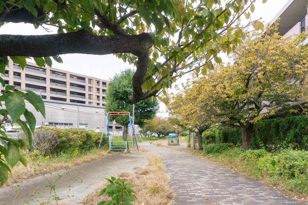 名称未設定-2511061-6