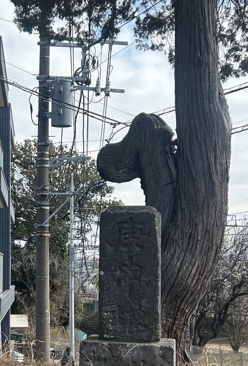S__94740556_0