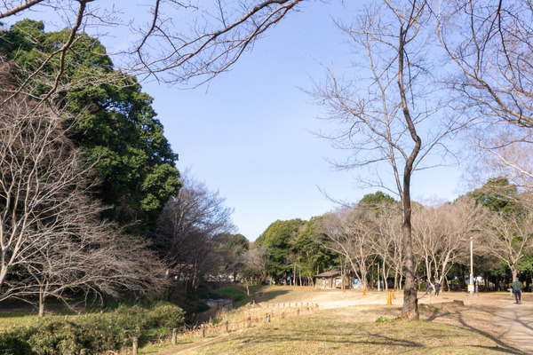 名称未設定-2601151-35