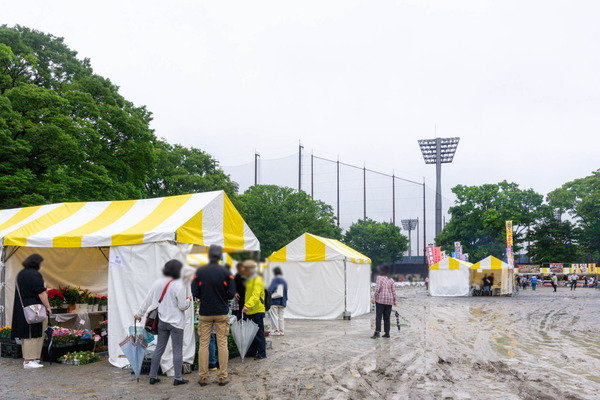 名称未設定-2505101-2