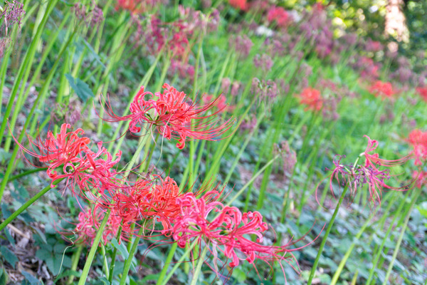 名称未設定-2310021-3