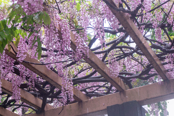 名称未設定-2304261-7