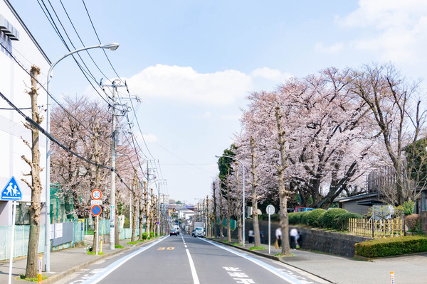 桜2-2303227