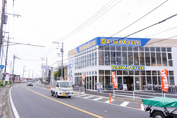 DSC06704