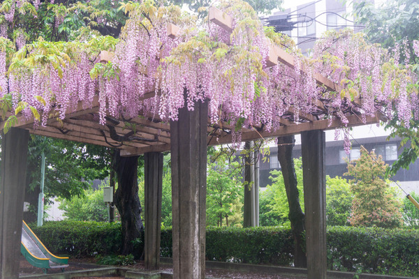 名称未設定-2304261-9