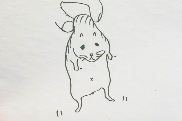 神奈川県犬-2204143