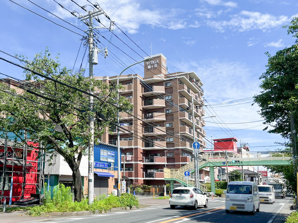 名称未設定-2406241-8