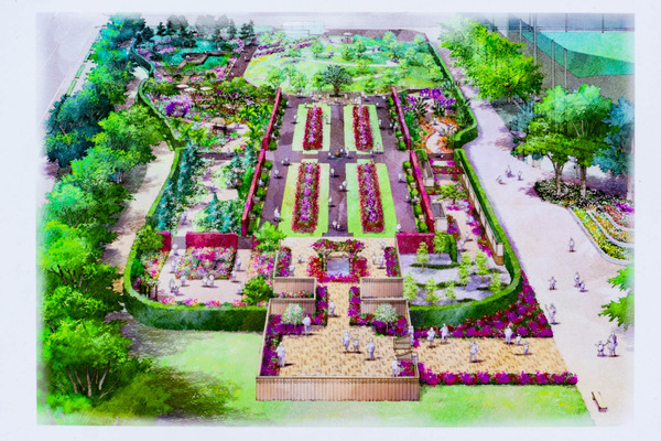 バラ公園-2306247