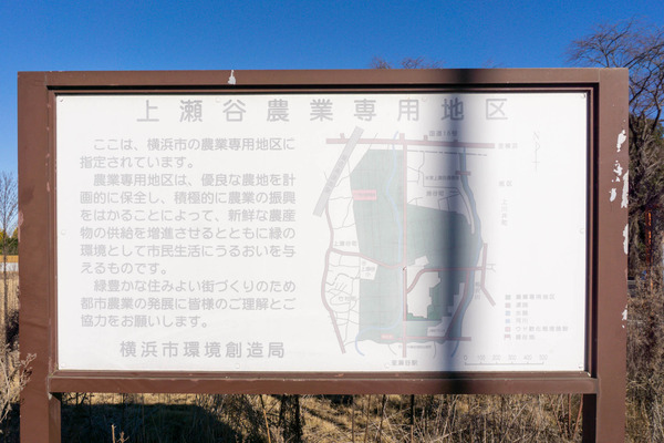 名称未設定-2301041-11