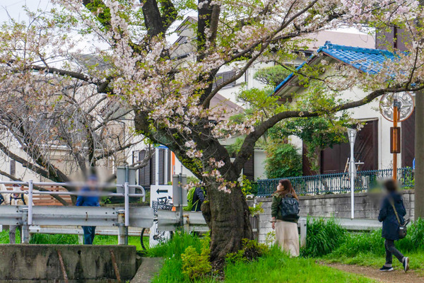 名称未設定-2303291-11