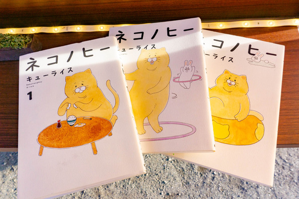 にゃんこ2-2303163