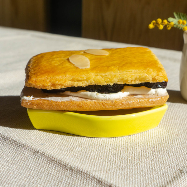 クドウ-22041125