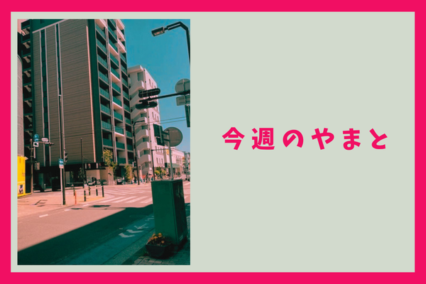今週のもりかど・やまと