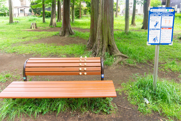 宇都宮記念公園-22050618