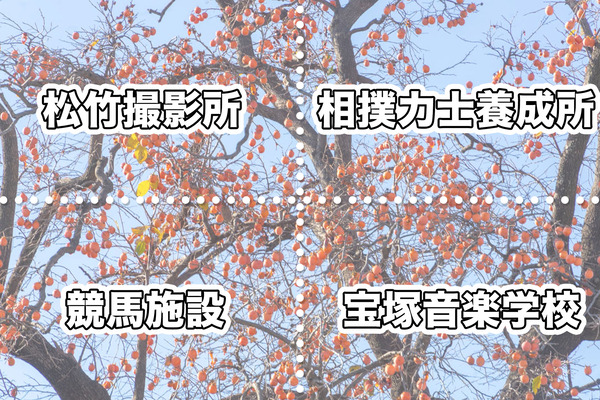 クイズ4択用-(3)