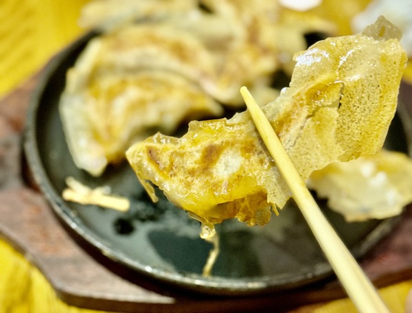 鉄板餃子食堂こんがりきつね」の『ぼっち定食』（大和市南林間