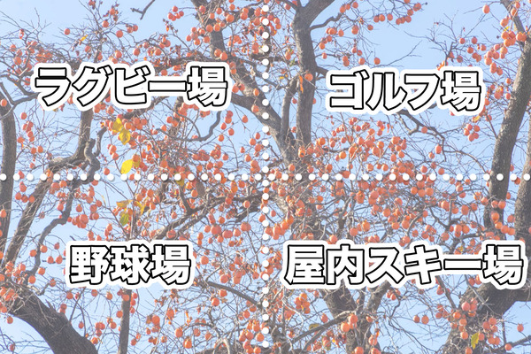 サムネ　スポーツ都市