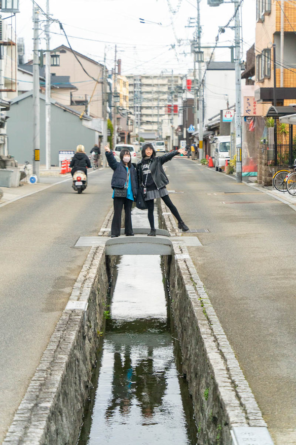 やまとぴ-24022623