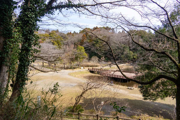 クイズ-2203071