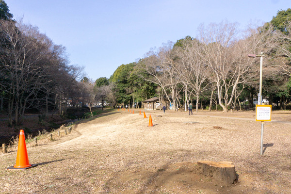 名称未設定-2601151-18