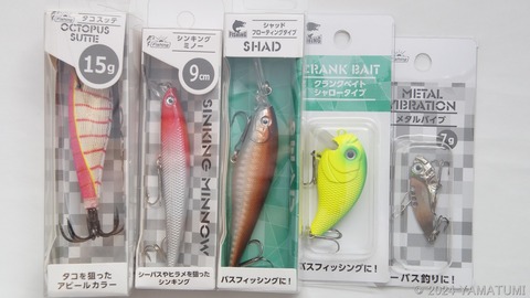 s-DSC04101