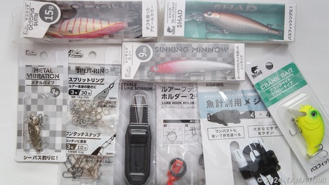 s-DSC04100