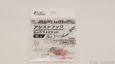 s-DSC04890