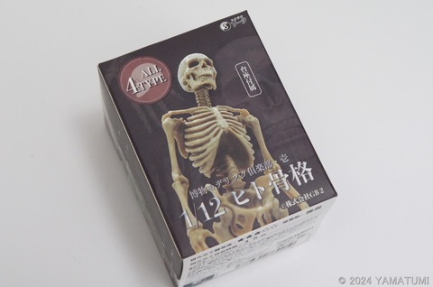 s-DSC06482