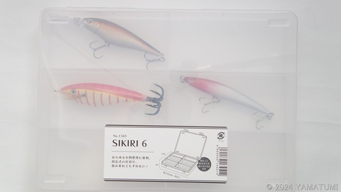 s-DSC04126