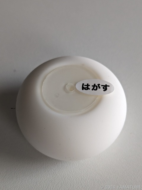 s-PXL_20240304_065702048