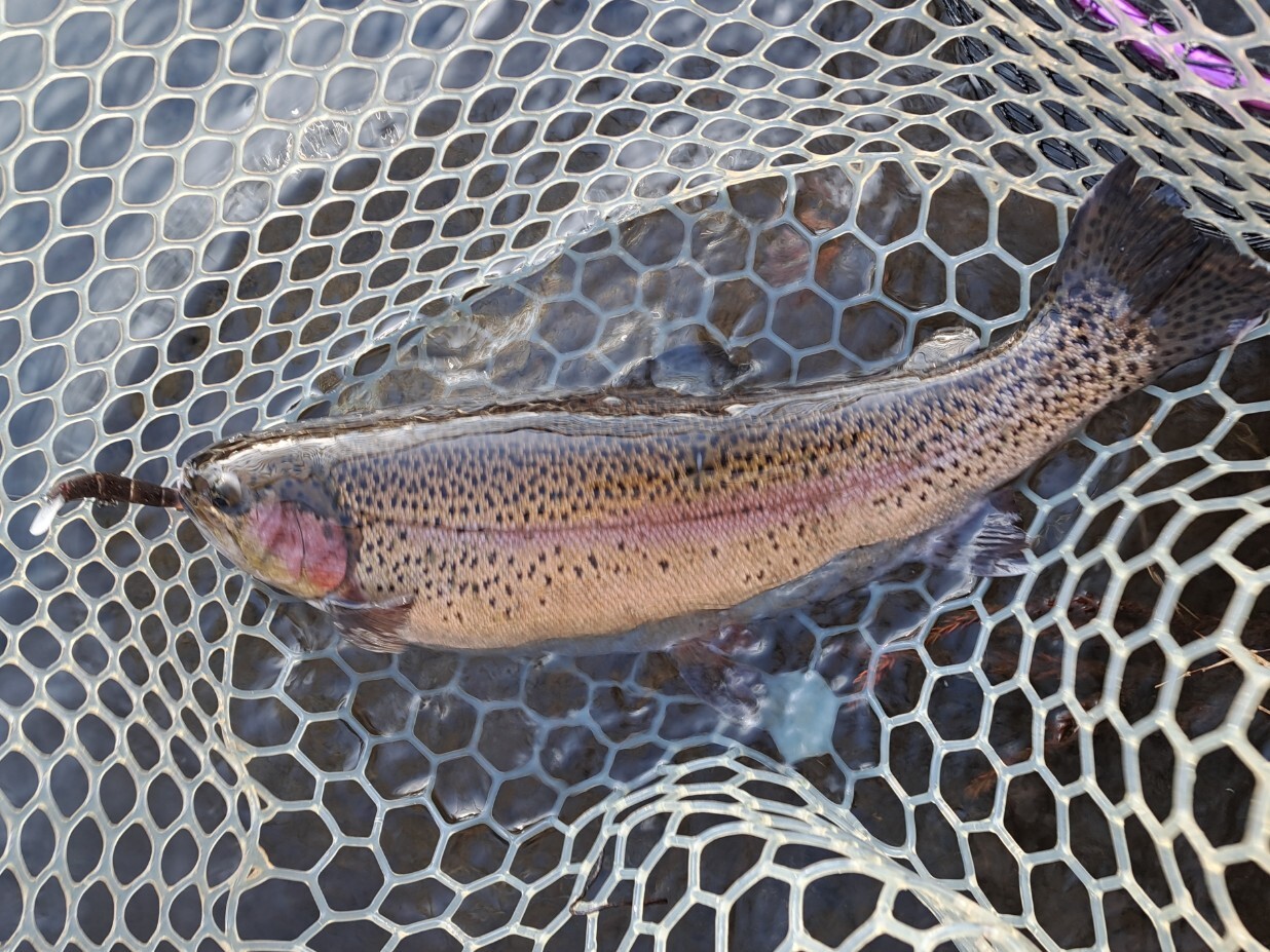 20260217_082058_copy_1236x927