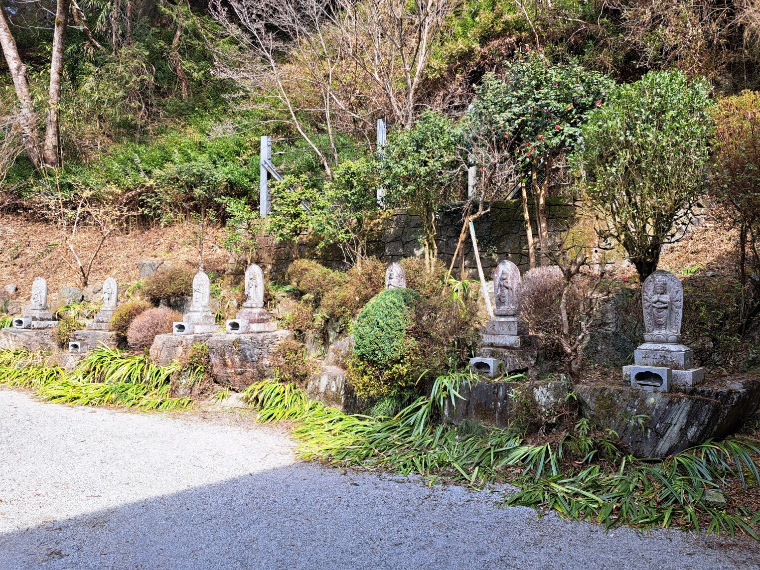 20260302_131850_copy_1525x1144