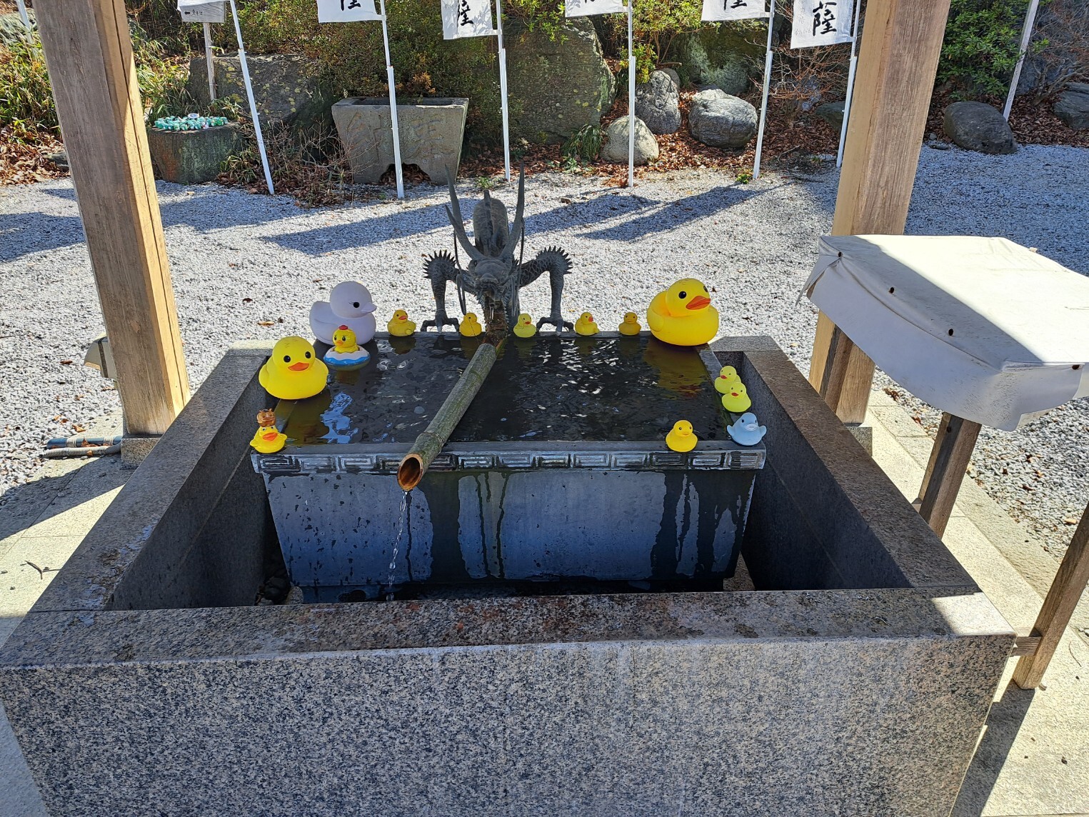 20260305_112847_copy_1525x1144