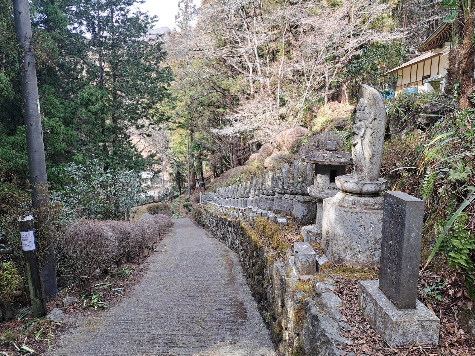 20260302_132051_copy_1525x1144