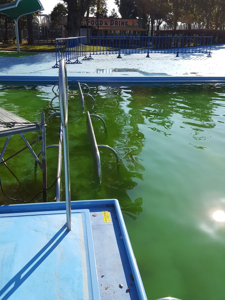 しらこばと水上公園 超絶新記録更新 17 11 7 俺のブラックバス日記