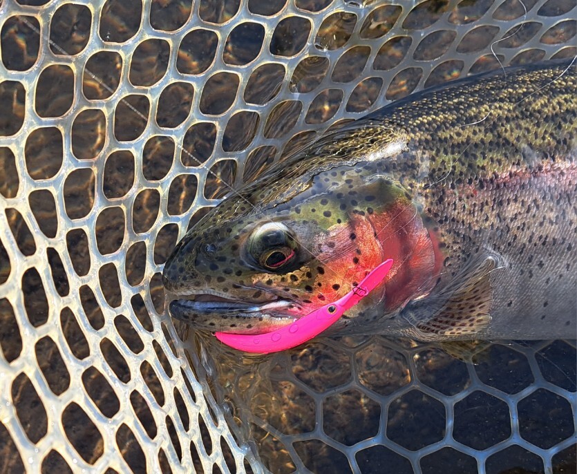 20260217_090936_copy_835x686