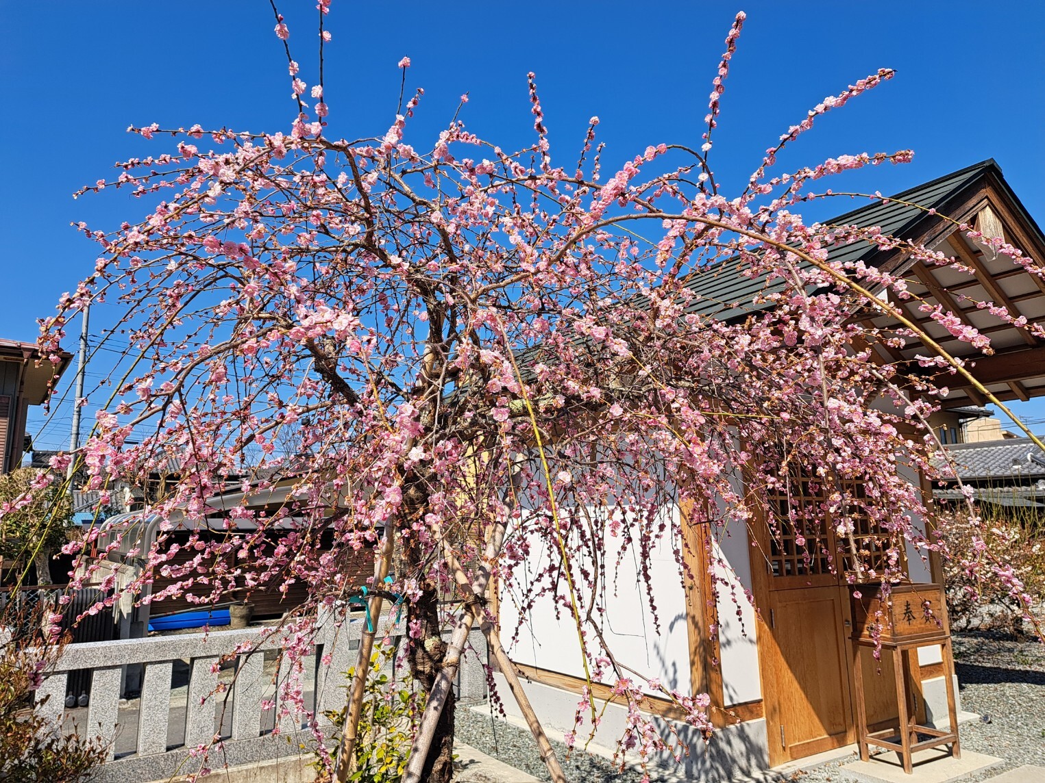 20260305_113132_copy_1525x1144