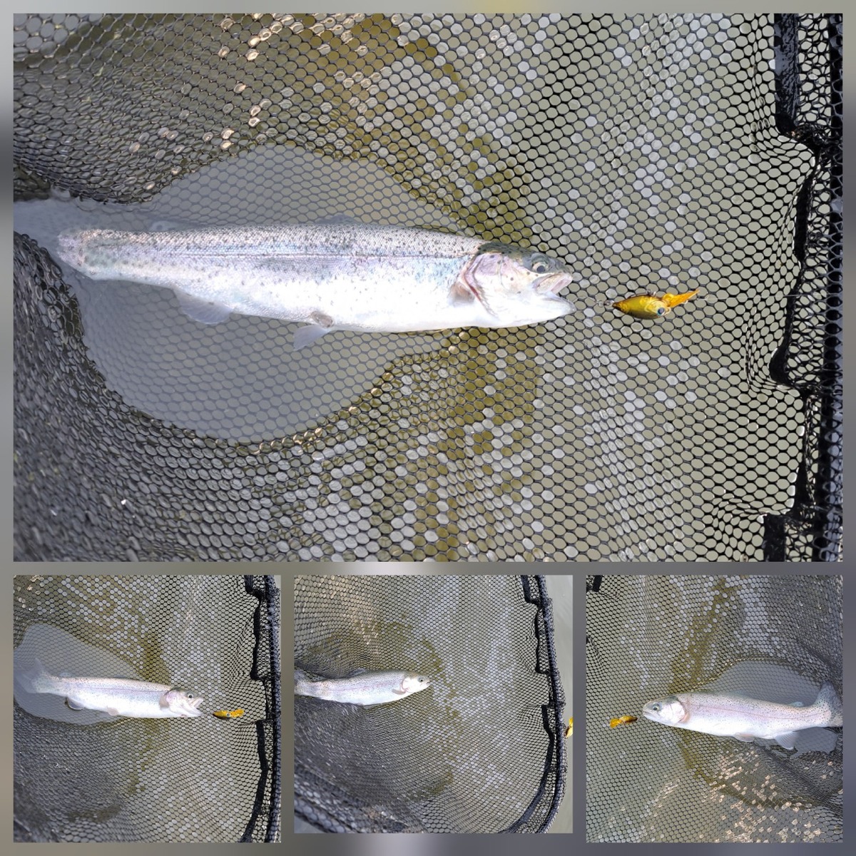 20260211_070943_copy_1440x1440