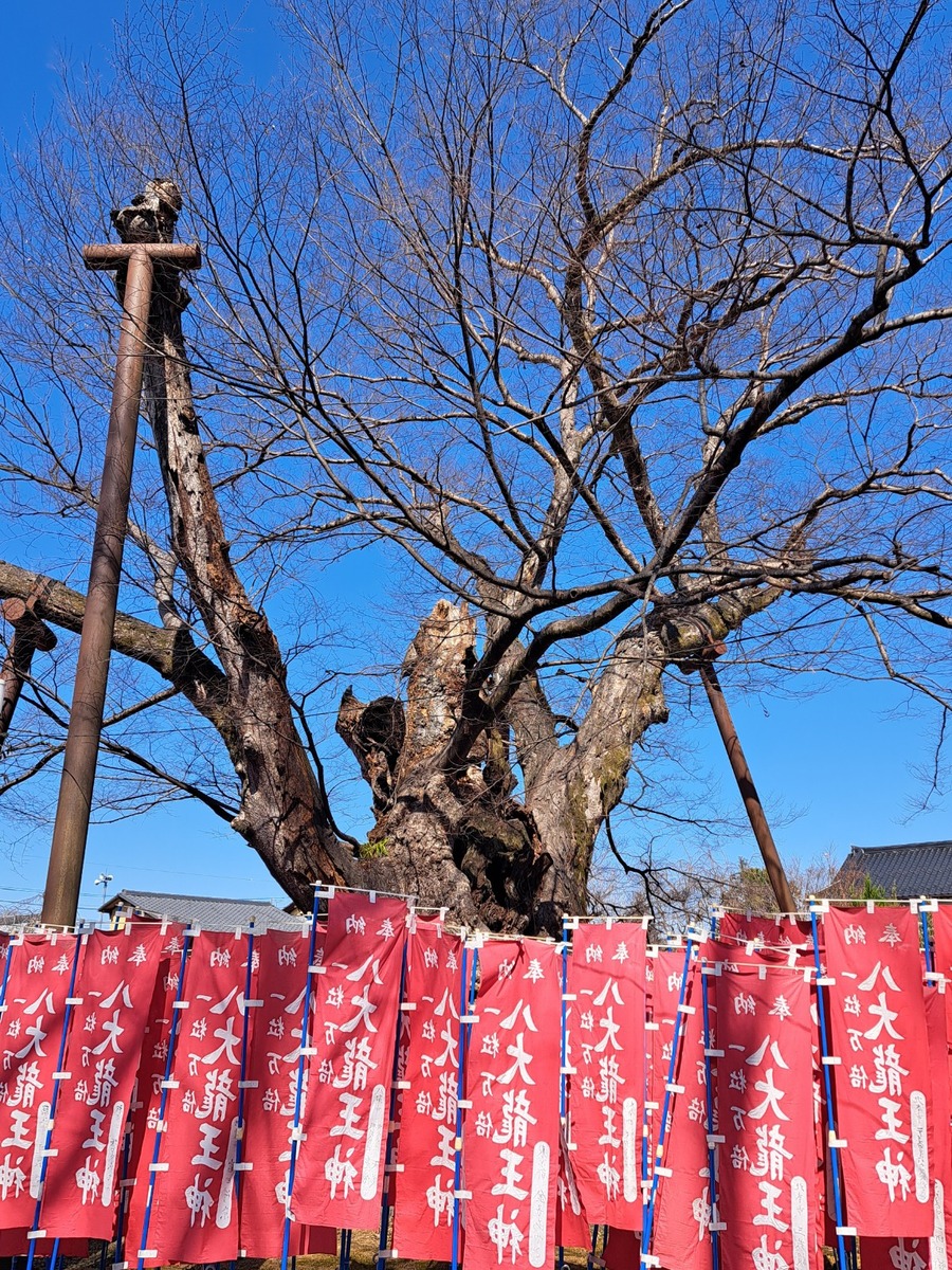 20260305_113723_copy_1144x1525