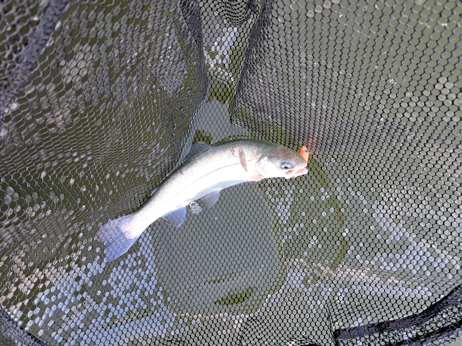 20260310_164856_copy_1525x1144