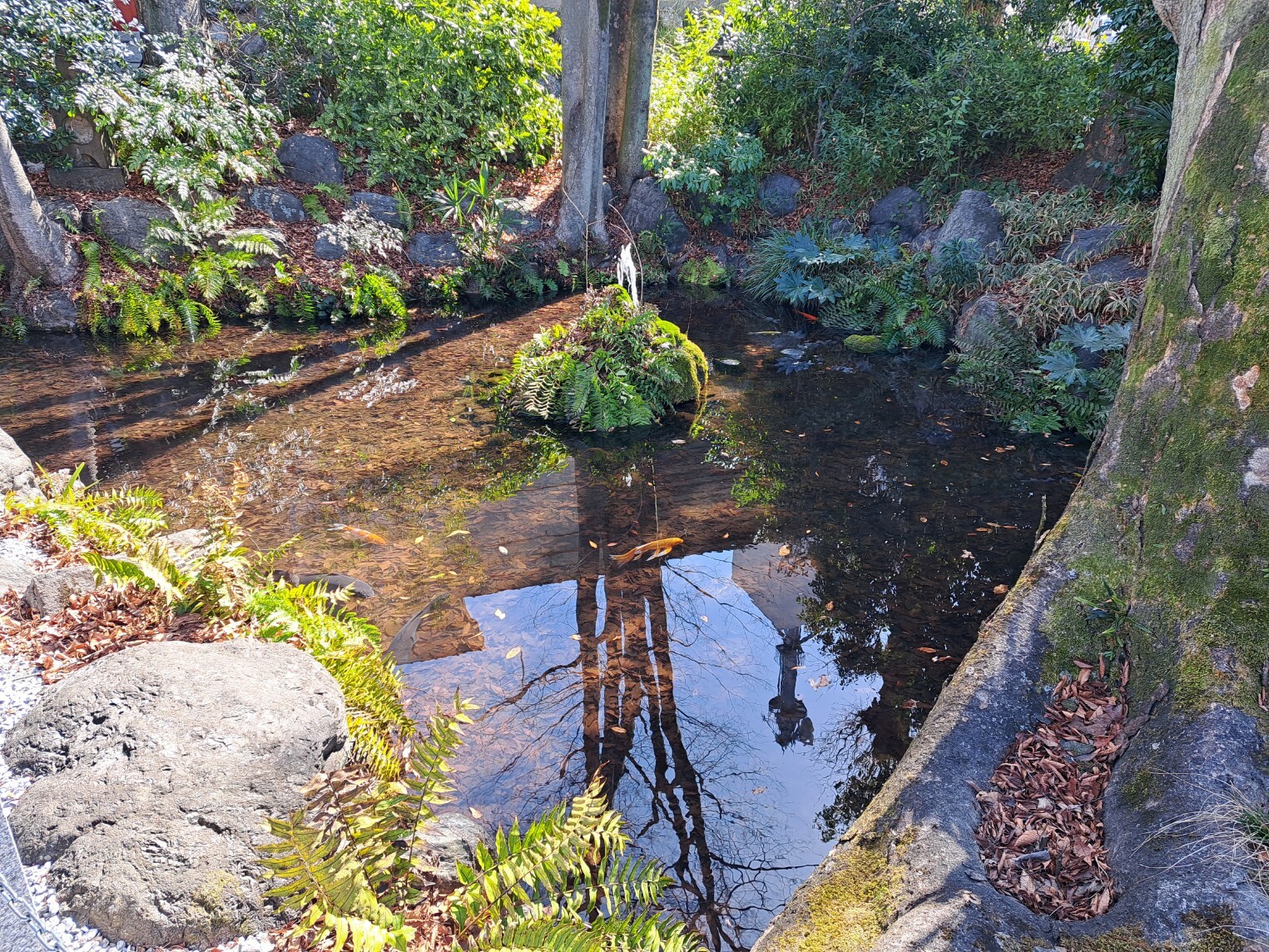 20260305_112812_copy_1525x1144