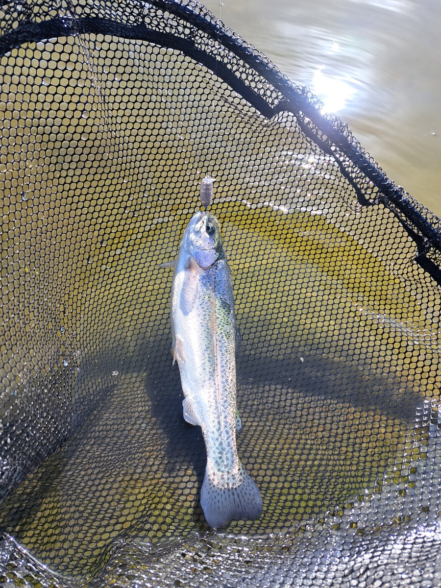 20260305_142520_copy_1734x2312