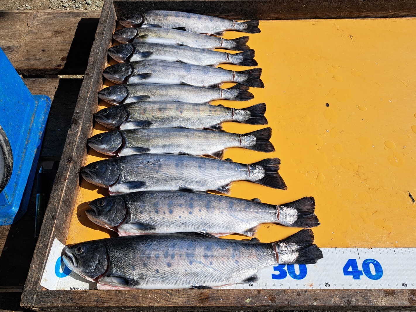 20260217_133553_copy_1422x1066