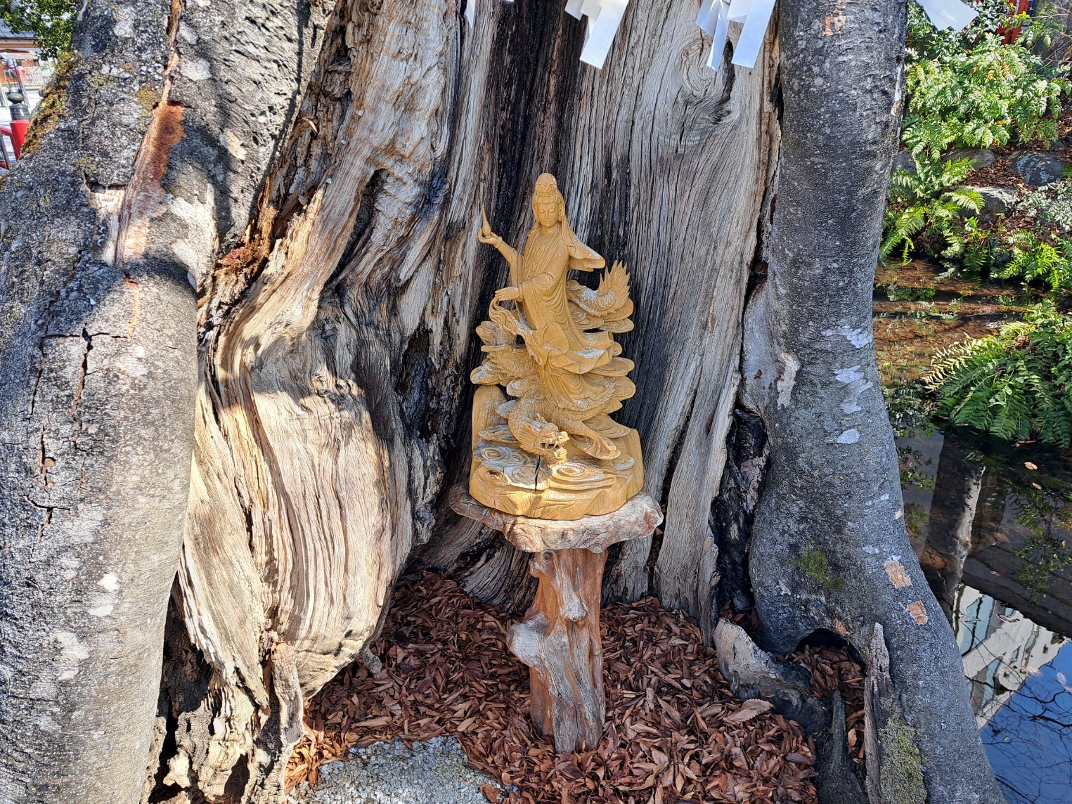 20260305_112752_copy_1525x1144