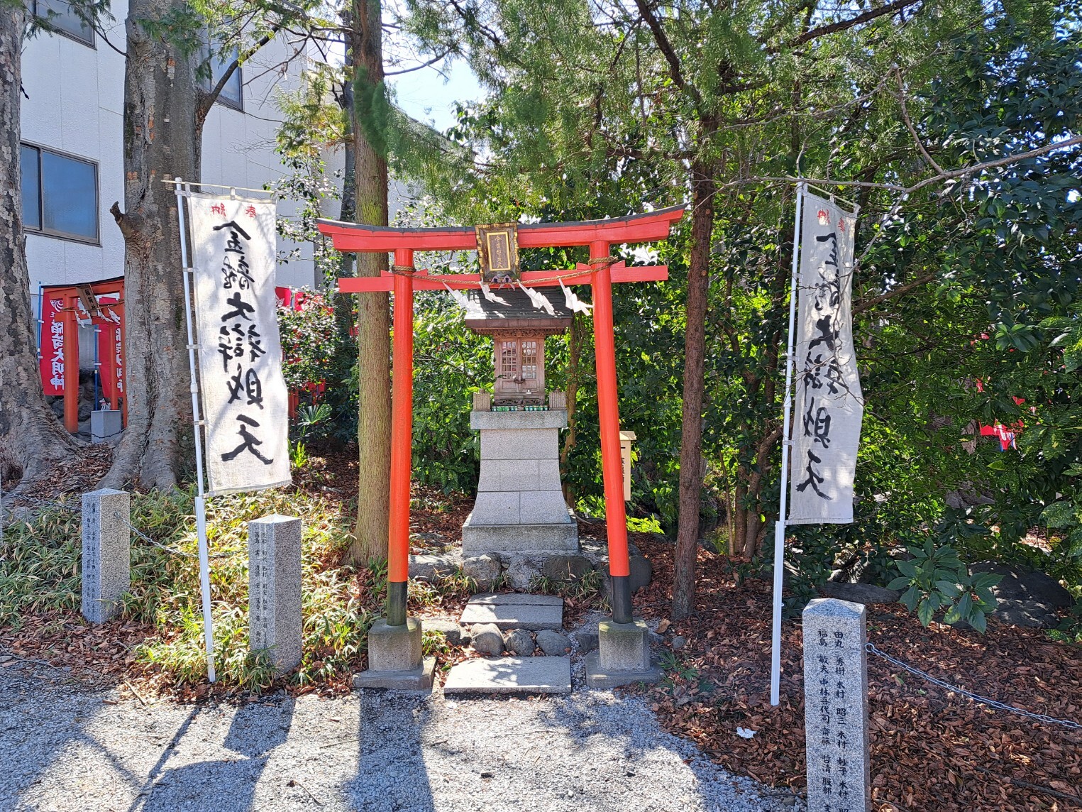 20260305_113550_copy_1525x1144